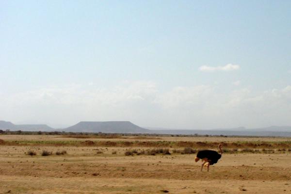 Eritrea Mountains