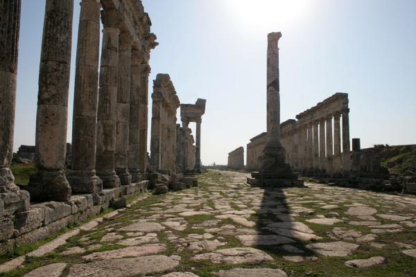 Apamea Syria