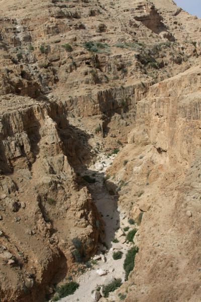 Wadi Qelt