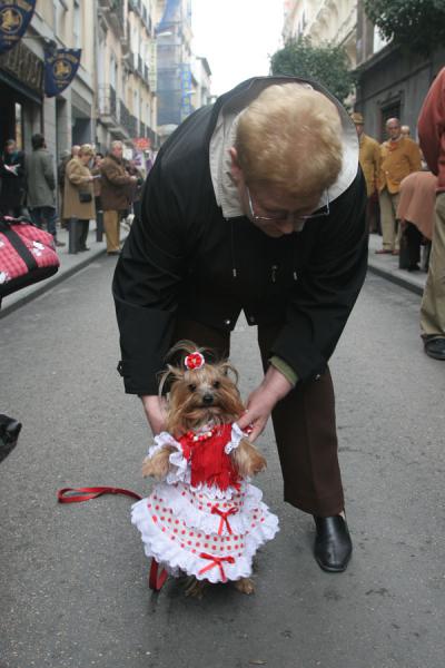 Pictures+of+dressed+up+dogs