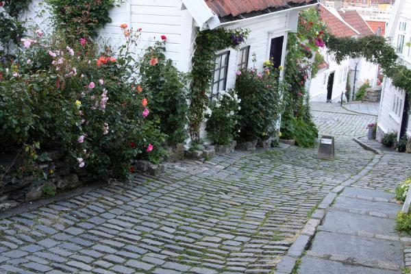 Stone Alley