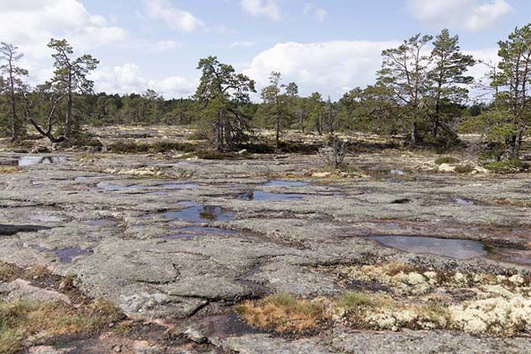 Typical landscape of Getabergen with rocks and trees | Grottstigen Cave Trail | Åland Islands