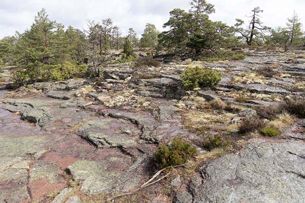 Picture of Grottstigen Cave Trail (Åland Islands): Rocks and vegetation along Grottstigen trail