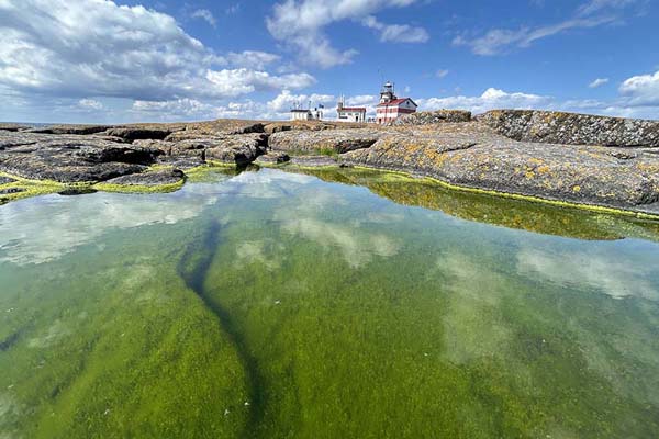 Foto van Landscape of Märket with pond and rocks - Åland Islands - Europa