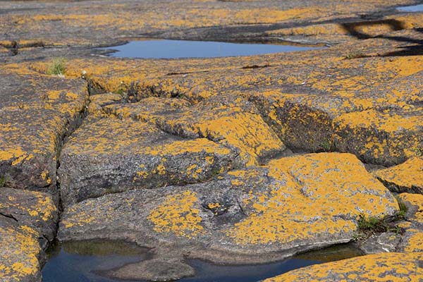 Picture of Rocks and water on MärketMärket - Åland Islands