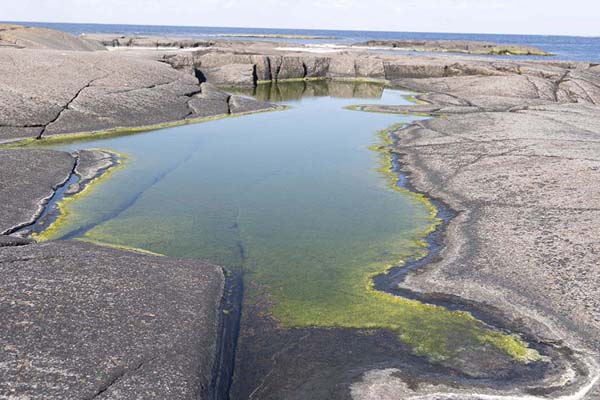 One of the small ponds on Märket | Märket | Åland Islands