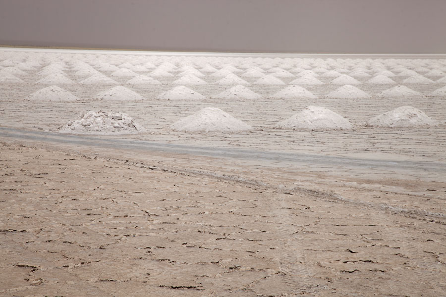 Picture of Row upon row of salt mounds on Salinas Grandes