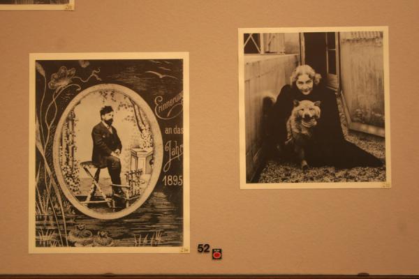 Close up of some of the pictures in the museum | Sigmund Freud Museum | Austria