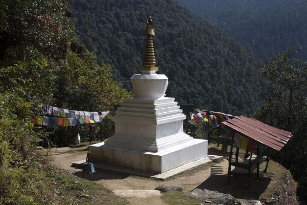 Picture of Cheri Monastery (Bhutan): Chorten on the way up to Cheri Monastery