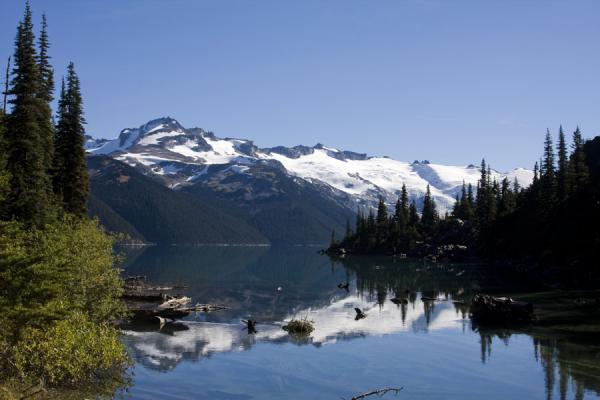 Snow-capped mountains and trees reflected in Garibaldi Lake | Panorama Ridge | Canada