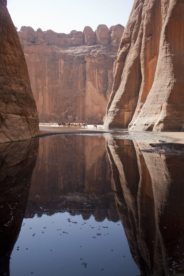 The walls of the canyon reflected in the dirty water of the Guelta d'Archeï | Guelta d'ArcheÃ¯ | Ciad