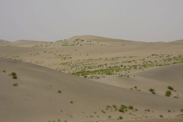 taklamakan desert location