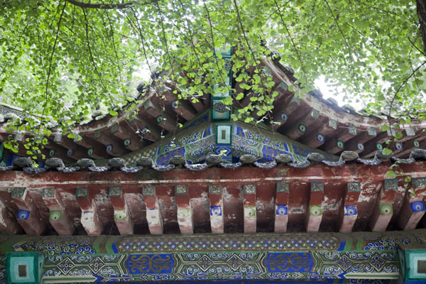 Picture of Wenshu Monastery (China): Detailed view of upper part of a small building with leaves in the northern part of Wenshu monastery grounds