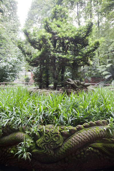 Picture of Wenshu Monastery (China): Shrubbery with carved out pagoda in the park of Wenshu monastery