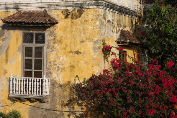 Detail of house with flowers in the old part of Cartagena | Cartagena de Indias | Colombia