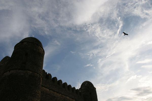 Fasil Castle in the Royal Enclosure | Fasil Ghebbi | Ethiopia