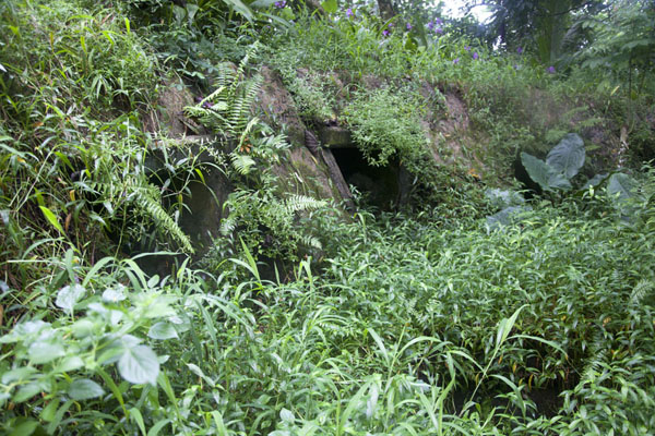 Foto de Japanese bunker hidden by lush vegetationSokehs ridge - Estados Federados de Micronesia