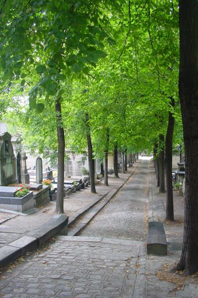 Picture of Père Lachaise Cemetery (France): Lane at Pere Lachaise Cemetery, Paris
