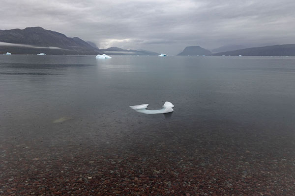 Photo de Tiny iceberg with bigger ones in the background in Tunulliarfik fjord near ItilleqIgaliku - 