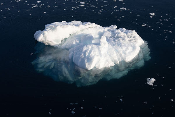 Small iceberg floating near the icefjord | Ilulissat Icefjord | 