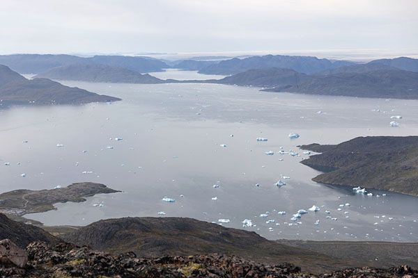 View over Narsaq and the fjord with icebergs | Narsaq | 