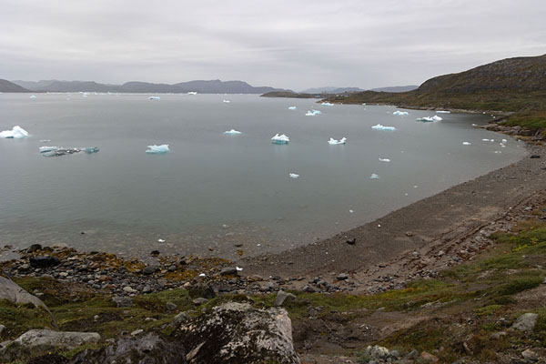 Looking out over a beach with icebergs south of Narsaq | Narsaq | Greenland