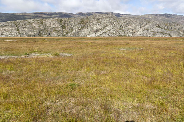 Foto di The Valley of Flowers on the way to Kiagtuut glacierNarsarsuaq - 