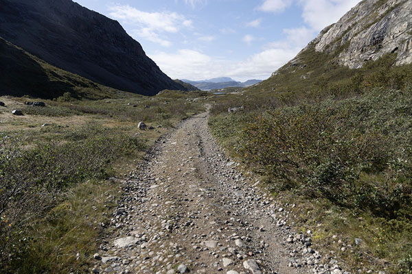 Picture of Gravel road between the Valley of Flowers and NarsarsuaqNarsarsuaq - Greenland