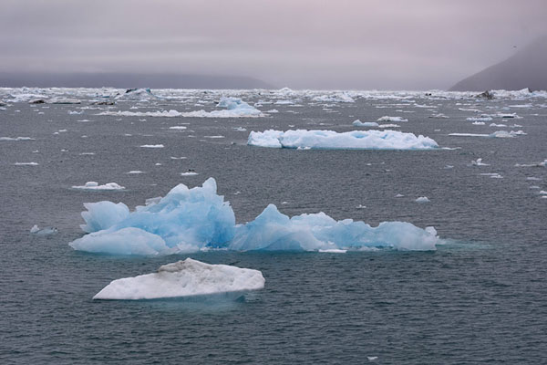 Blue iceberg floating in the fjord of Nuuk | Fiordo de Nuuk | 