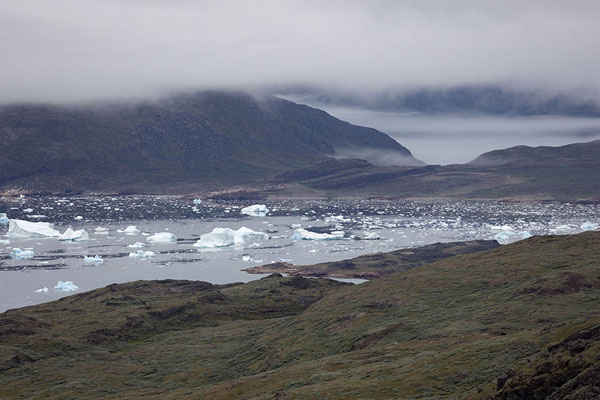 Photo de View towards the iceberg-filled fjord near TasiusaqQassiarsuk - 