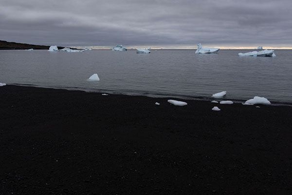 Photo de Volcanic beach of Qeqertarsuaq with icebergs in Disko BayQeqertarsuaq - 