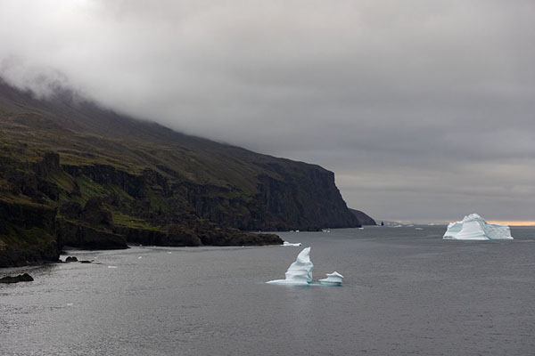 Foto di Icebergs floating below steep cliffs: coastline near Qeqertarsuaq -  - Europa