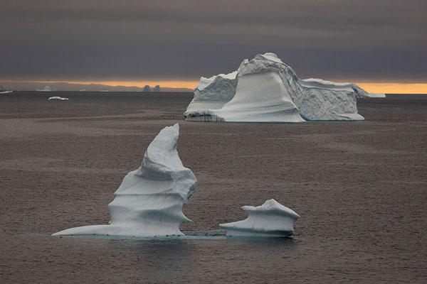 Icebergs floating in a bay near Qeqertarsuaq | Qeqertarsuaq | 