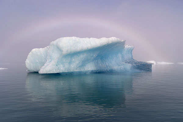 Fogbow over an iceberg in Qooroq fjord | Qooroq fjord | 