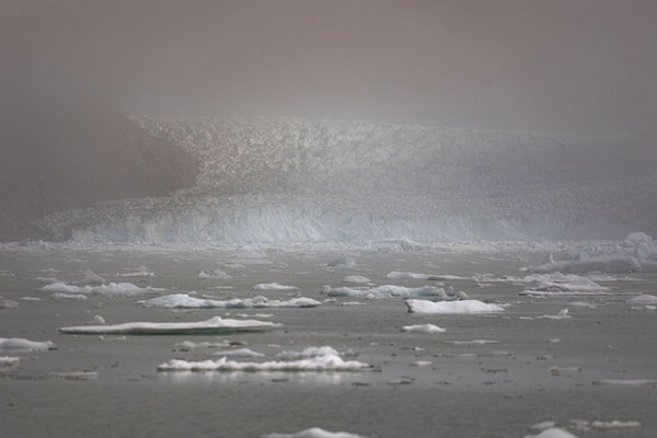 Picture of Draining directly from the Greenland ice sheet, Qooroq glacier sends icebergs down the fjord