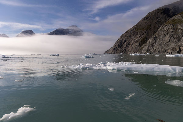 Foto di Icebergs and clouds hiding mountains in Qooroq fjord -  - Europa