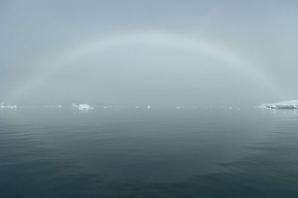 Picture of Qooroq fjord (Greenland): Fogbow over icebergs in Qooroq fjord