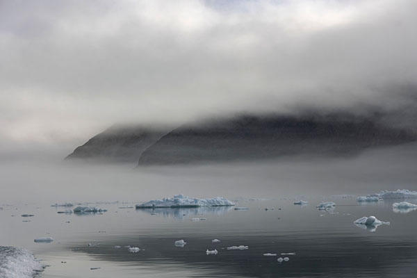 Small icebergs floating in Qooroq fjord | Fiordo di Qooroq | 