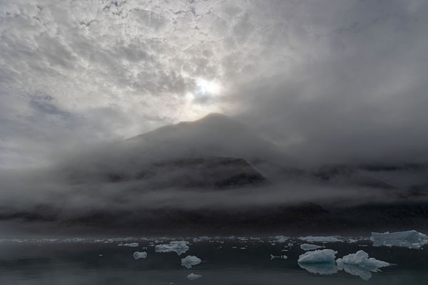 Picture of Mountains clad in clouds with icebergs floating through Qooroq fjord