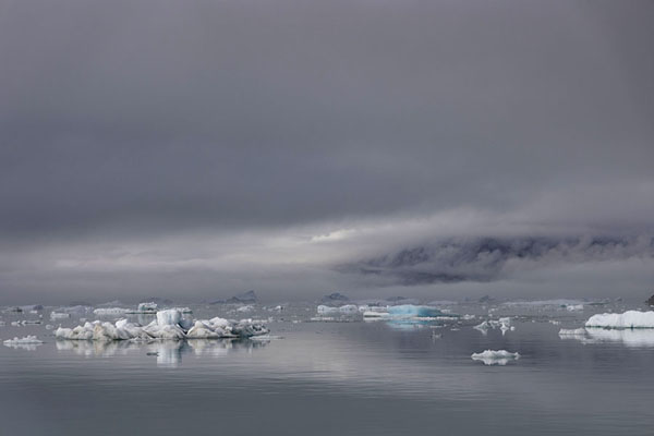 Icebergs floating in the fjord with backdrop of mountains enveloped in clouds | Fiordo di Qooroq | 