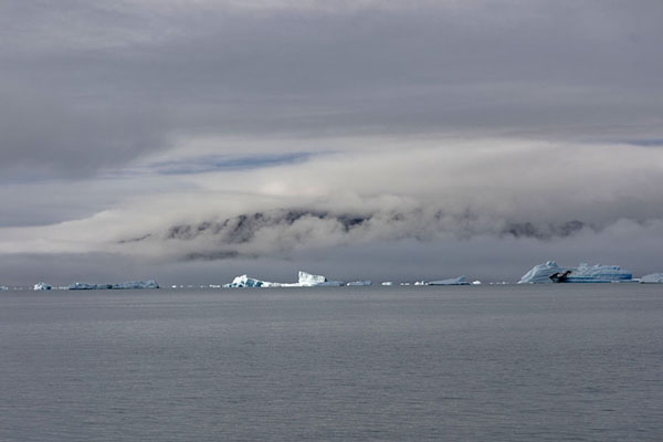 Sun shining on icebergs in Qooroq fjord | Qooroq fjord | Greenland