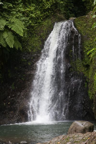 Picture of The highest of the Seven Sisters fallsGrand Etang National Park - Grenada