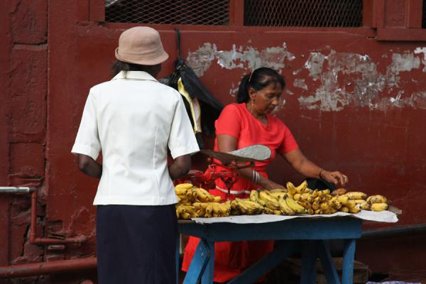 Picture of Selling fruit at Stabroek market