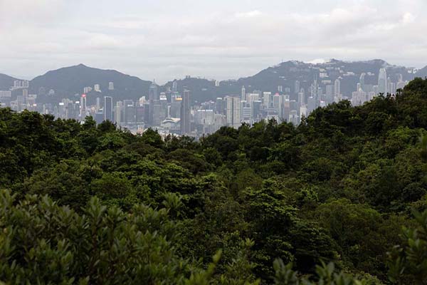 Skyscrapers in the distance seen from the trail on Lion Rock | Lion Rock | Hong Kong