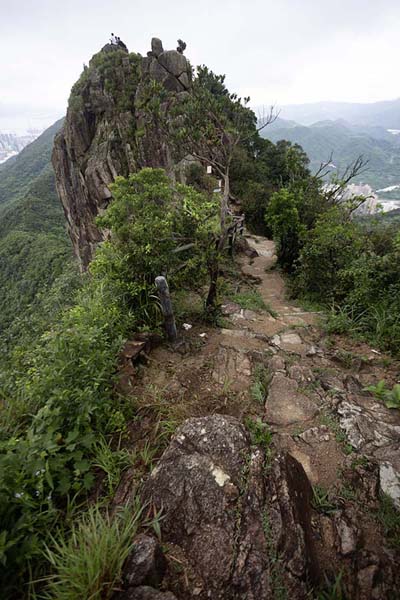 Picture of Lion Head seen from a vantage point