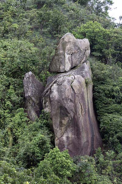 Foto de Formation of rocks in the vegetation on the north side of Lion Rock - Hong Kong - Asia