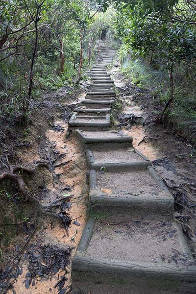 Photo de The trail to the top of Lion Rock with stairs - Hong Kong - Asie