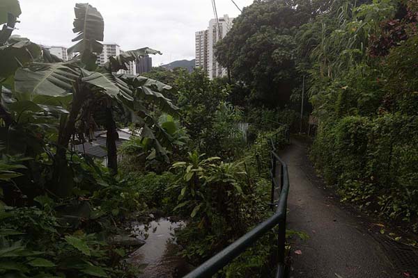 Foto de Trail through Sha Tin Tau village on the north side of Lion RockLion Rock - Hong Kong