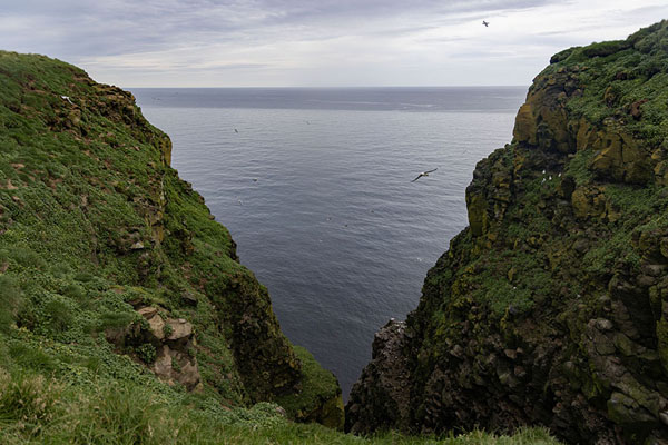 Picture of Looking out over the sea from the east side of Grímsey islandGrímsey - Iceland