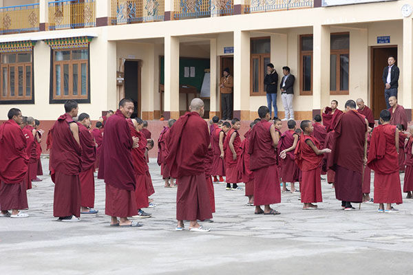 Photo de Monks in a morning ceremony - Inde
